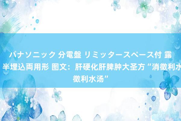 パナソニック 分電盤 リミッタースペース付 露出・半埋込両用形 图文：肝硬化肝脾肿大圣方“消徵利水汤”