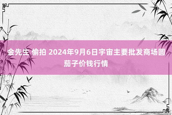 金先生 偷拍 2024年9月6日宇宙主要批发商场圆茄子价钱行情