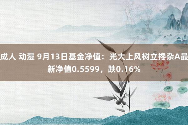 成人 动漫 9月13日基金净值：光大上风树立搀杂A最新净值0.5599，跌0.16%