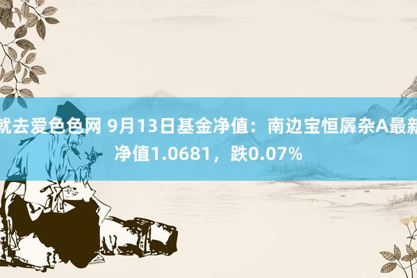 就去爱色色网 9月13日基金净值：南边宝恒羼杂A最新净值1.0681，跌0.07%