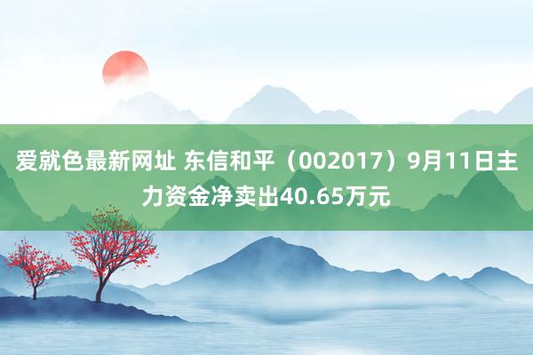 爱就色最新网址 东信和平（002017）9月11日主力资金净卖出40.65万元