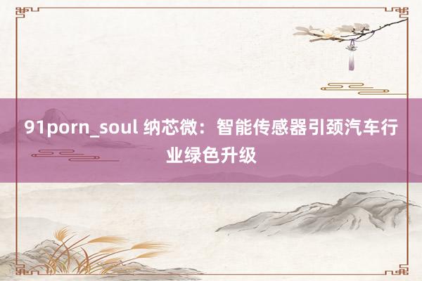 91porn_soul 纳芯微：智能传感器引颈汽车行业绿色升级