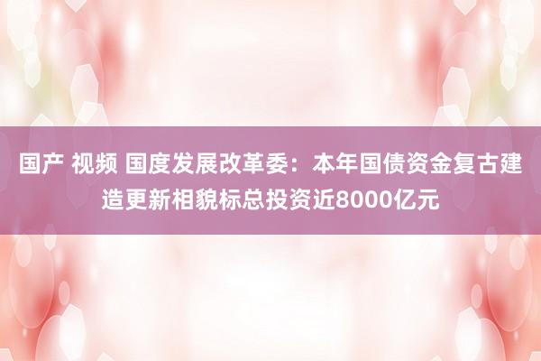 国产 视频 国度发展改革委：本年国债资金复古建造更新相貌标总投资近8000亿元