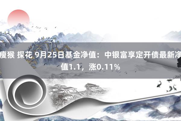 瘦猴 探花 9月25日基金净值：中银富享定开债最新净值1.1，涨0.11%