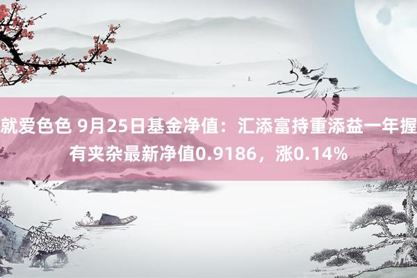 就爱色色 9月25日基金净值：汇添富持重添益一年握有夹杂最新净值0.9186，涨0.14%