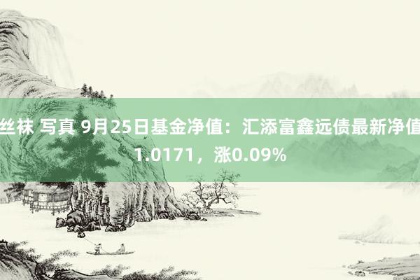 丝袜 写真 9月25日基金净值：汇添富鑫远债最新净值1.0171，涨0.09%