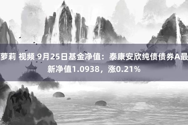 萝莉 视频 9月25日基金净值：泰康安欣纯债债券A最新净值1.0938，涨0.21%