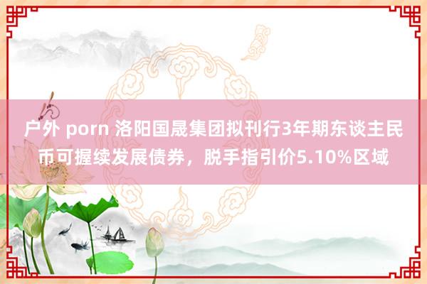 户外 porn 洛阳国晟集团拟刊行3年期东谈主民币可握续发展债券，脱手指引价5.10%区域