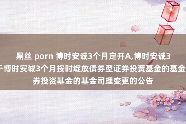 黑丝 porn 博时安诚3个月定开A，博时安诚3个月定开C: 对于博时安诚3个月按时绽放债券型证券投资基金的基金司理变更的公告