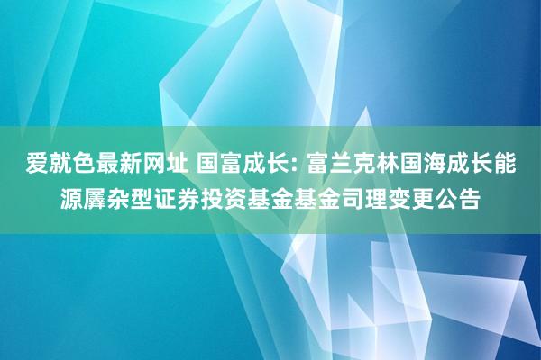 爱就色最新网址 国富成长: 富兰克林国海成长能源羼杂型证券投资基金基金司理变更公告