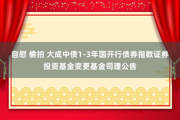 自慰 偷拍 大成中债1-3年国开行债券指数证券投资基金变更基金司理公告