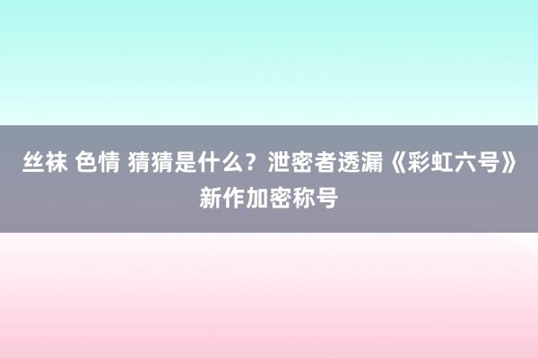 丝袜 色情 猜猜是什么？泄密者透漏《彩虹六号》新作加密称号