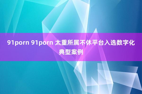 91porn 91porn 太重所属不休平台入选数字化典型案例