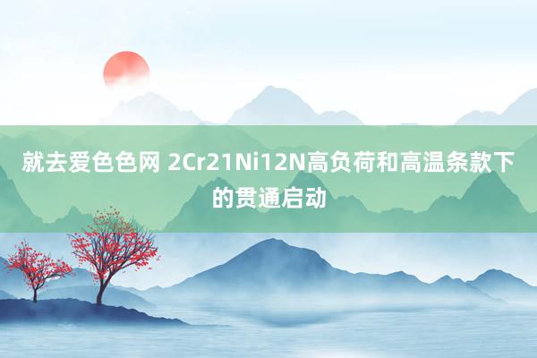 就去爱色色网 2Cr21Ni12N高负荷和高温条款下的贯通启动