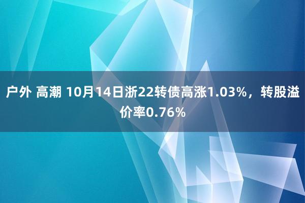 户外 高潮 10月14日浙22转债高涨1.03%，转股溢价率0.76%