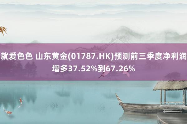 就爱色色 山东黄金(01787.HK)预测前三季度净利润增多37.52%到67.26%