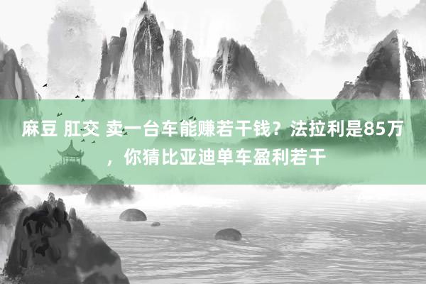 麻豆 肛交 卖一台车能赚若干钱？法拉利是85万 ，你猜比亚迪单车盈利若干