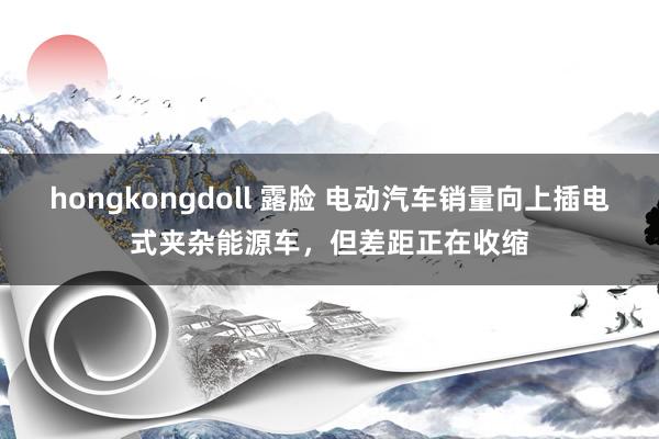 hongkongdoll 露脸 电动汽车销量向上插电式夹杂能源车，但差距正在收缩