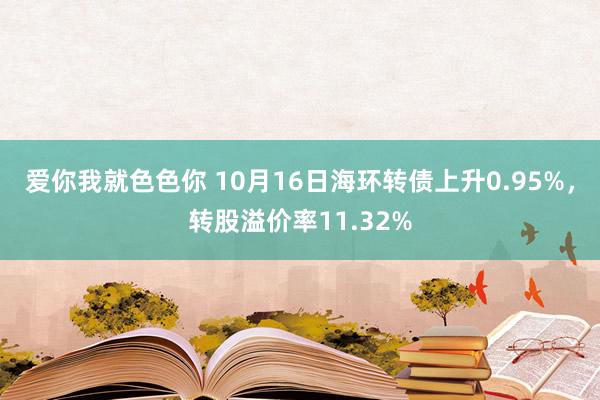 爱你我就色色你 10月16日海环转债上升0.95%，转股溢价率11.32%