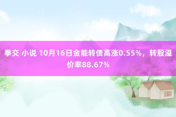 拳交 小说 10月16日金能转债高涨0.55%，转股溢价率88.67%