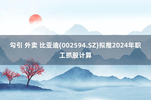 勾引 外卖 比亚迪(002594.SZ)拟推2024年职工抓股计算