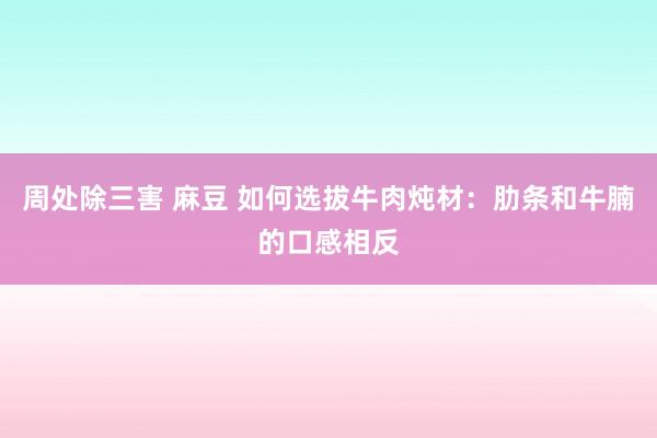 周处除三害 麻豆 如何选拔牛肉炖材：肋条和牛腩的口感相反