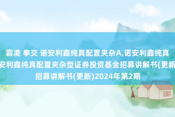 霸凌 拳交 诺安利鑫纯真配置夹杂A，诺安利鑫纯真配置夹杂C: 诺安利鑫纯真配置夹杂型证券投资基金招募讲解书(更新)2024年第2期