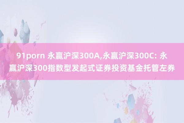 91porn 永赢沪深300A，永赢沪深300C: 永赢沪深300指数型发起式证券投资基金托管左券