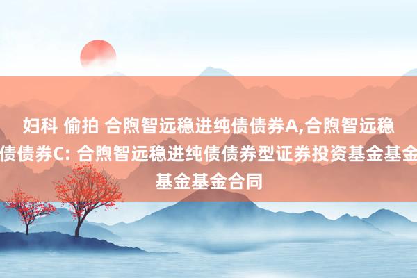 妇科 偷拍 合煦智远稳进纯债债券A，合煦智远稳进纯债债券C: 合煦智远稳进纯债债券型证券投资基金基金合同