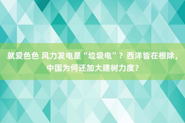 就爱色色 风力发电是“垃圾电”？西洋皆在根除，中国为何还加大建树力度？