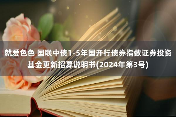 就爱色色 国联中债1-5年国开行债券指数证券投资基金更新招募说明书(2024年第3号)