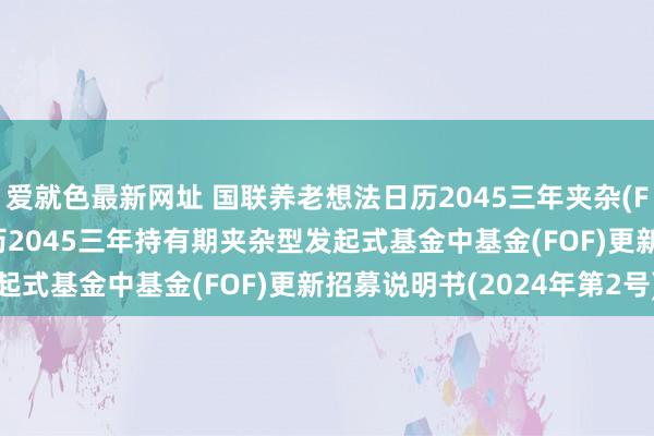 爱就色最新网址 国联养老想法日历2045三年夹杂(FOF): 国联养老想法日历2045三年持有期夹杂型发起式基金中基金(FOF)更新招募说明书(2024年第2号)