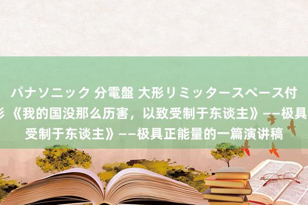 パナソニック 分電盤 大形リミッタースペース付 露出・半埋込両用形 《我的国没那么历害，以致受制于东谈主》——极具正能量的一篇演讲稿