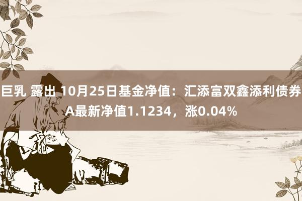 巨乳 露出 10月25日基金净值：汇添富双鑫添利债券A最新净值1.1234，涨0.04%