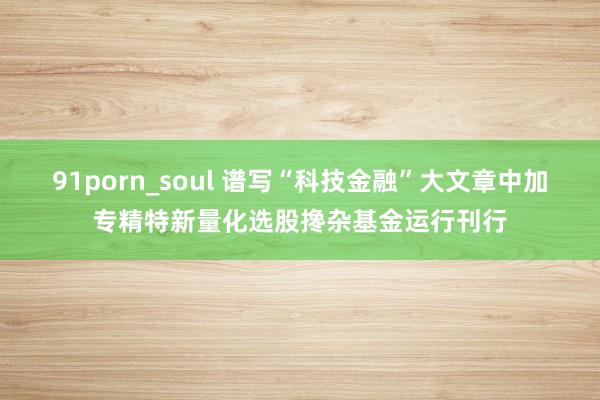 91porn_soul 谱写“科技金融”大文章中加专精特新量化选股搀杂基金运行刊行