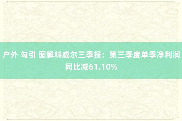 户外 勾引 图解科威尔三季报：第三季度单季净利润同比减61.10%