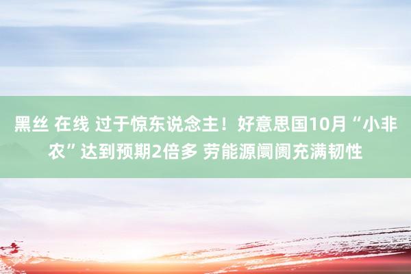 黑丝 在线 过于惊东说念主！好意思国10月“小非农”达到预期2倍多 劳能源阛阓充满韧性