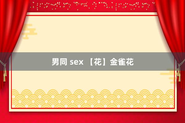 男同 sex 【花】金雀花