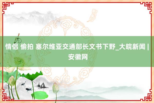 情侣 偷拍 塞尔维亚交通部长文书下野_大皖新闻 | 安徽网