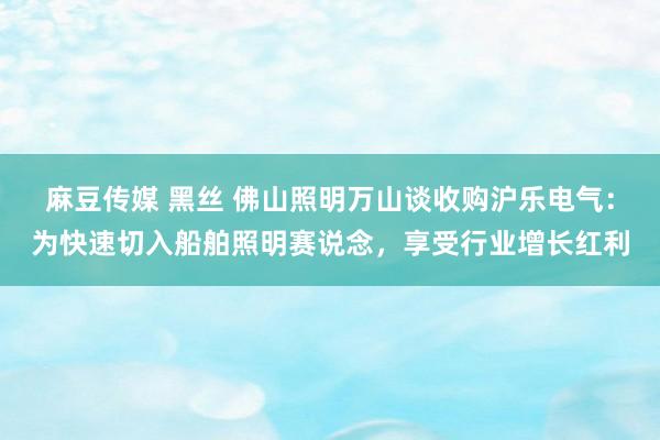 麻豆传媒 黑丝 佛山照明万山谈收购沪乐电气：为快速切入船舶照明赛说念，享受行业增长红利