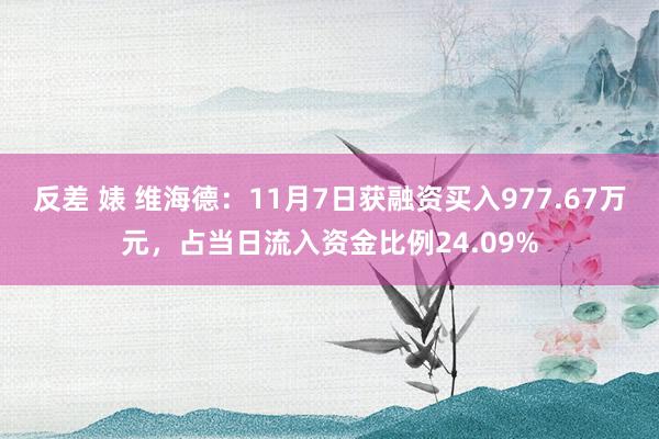 反差 婊 维海德：11月7日获融资买入977.67万元，占当日流入资金比例24.09%