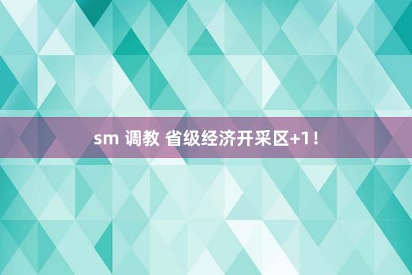 sm 调教 省级经济开采区+1！