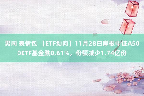 男同 表情包 【ETF动向】11月28日摩根中证A500ETF基金跌0.61%，份额减少1.74亿份