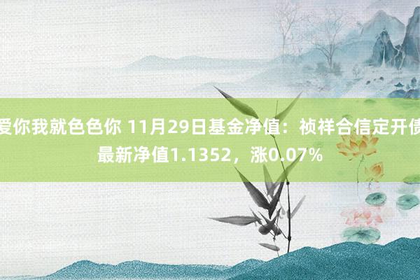 爱你我就色色你 11月29日基金净值：祯祥合信定开债最新净值1.1352，涨0.07%