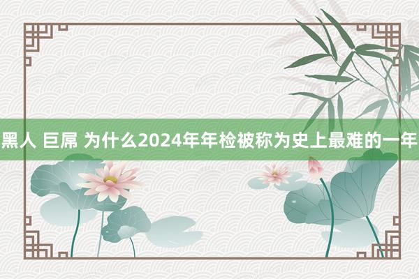 黑人 巨屌 为什么2024年年检被称为史上最难的一年