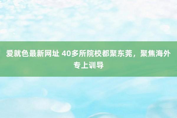 爱就色最新网址 40多所院校都聚东莞，聚焦海外专上训导