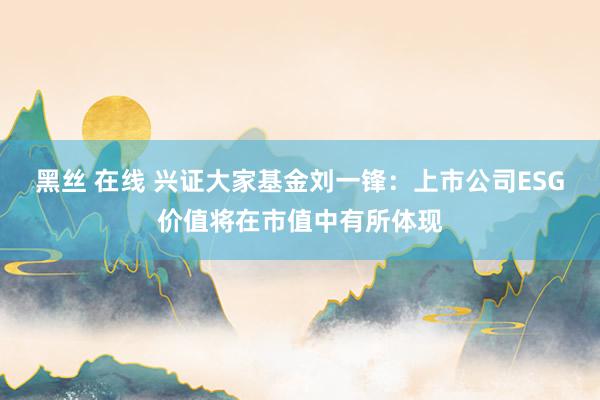 黑丝 在线 兴证大家基金刘一锋：上市公司ESG价值将在市值中有所体现