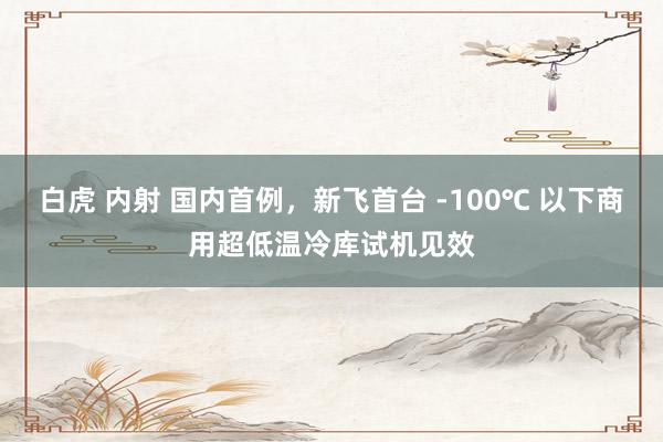 白虎 内射 国内首例，新飞首台 -100℃ 以下商用超低温冷库试机见效