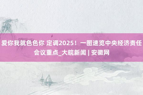 爱你我就色色你 定调2025！一图速览中央经济责任会议重点_大皖新闻 | 安徽网