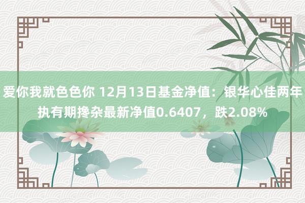 爱你我就色色你 12月13日基金净值：银华心佳两年执有期搀杂最新净值0.6407，跌2.08%